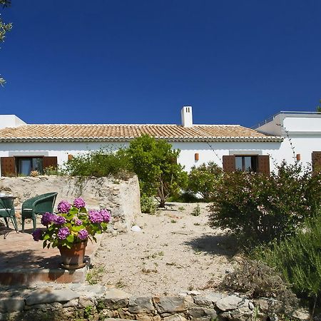 Monte Do Alamo - Turismo Rural Tavira Exterior photo